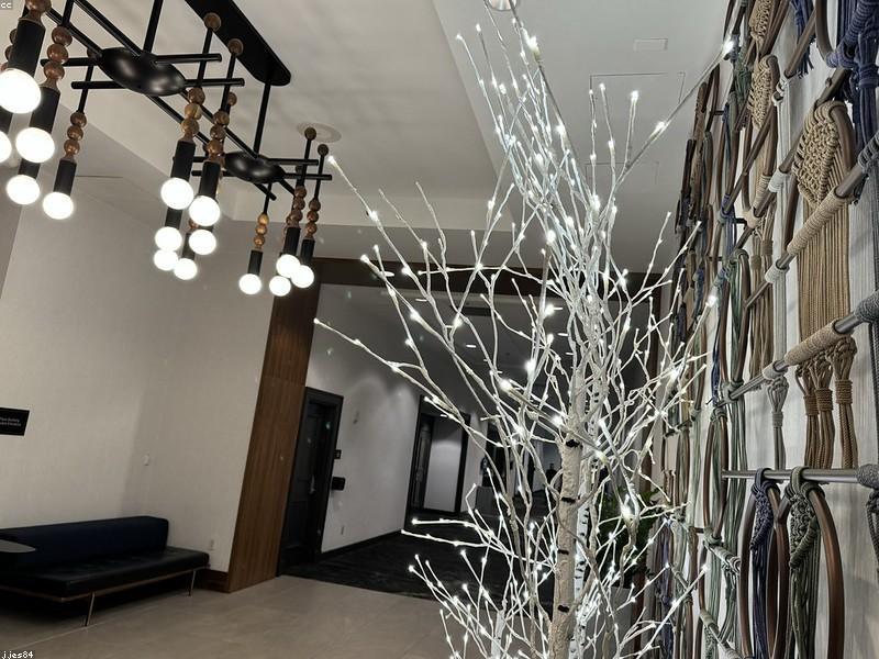 Saint Mossi Modern K9 Crystal Raindrop Chandelier - for Dining Room (Edition 1)